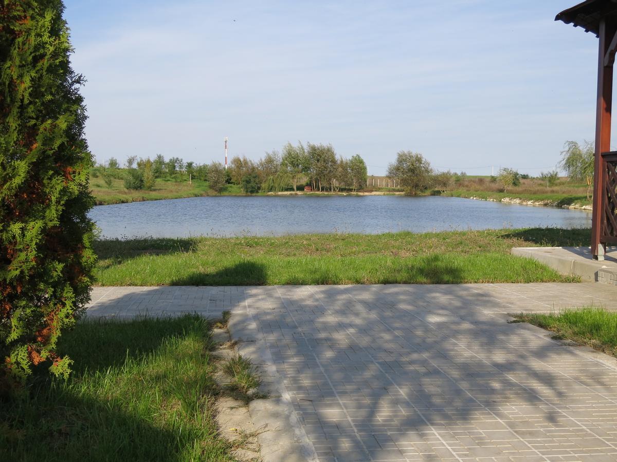 Conacul De Pe Lac Sagu Esterno foto